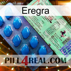 Eregra new02